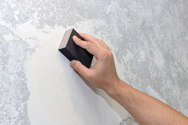 Best Mold Odor Removal Services  in Flatwoods, KY
