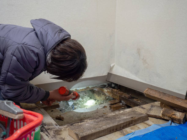 Biohazard Mold Removal in Flatwoods, KY