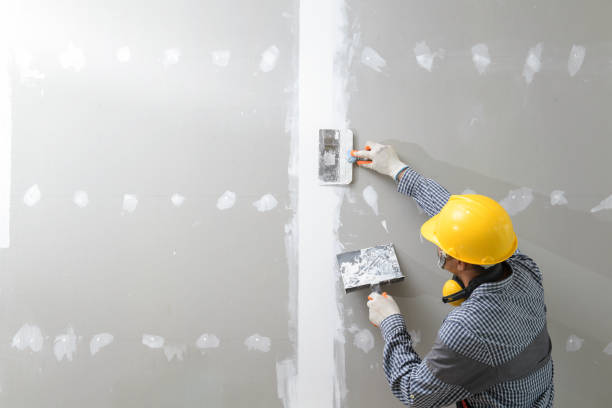 Best Dehumidification Services  in Flatwoods, KY