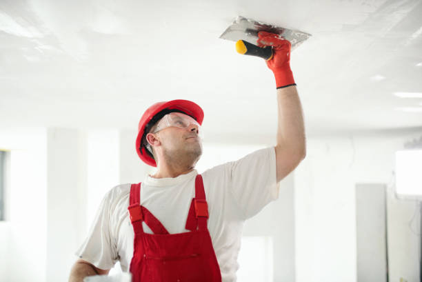 Best Industrial Mold Remediation  in Flatwoods, KY