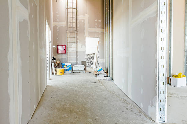 Best Commercial Mold Inspection  in Flatwoods, KY